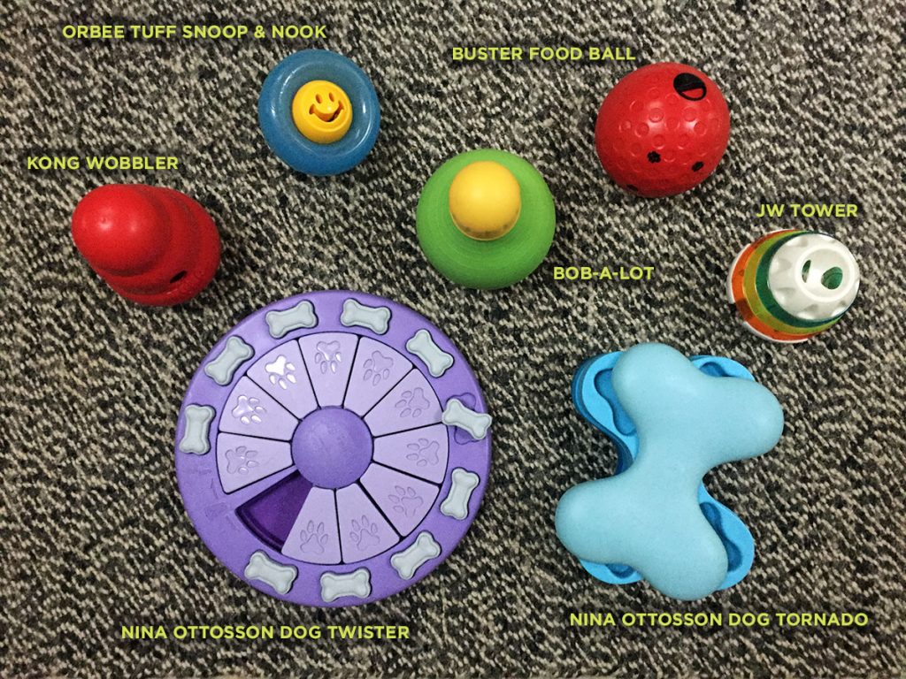 A sampling of some indoor dog activities: interactive, food-dispensing toys and puzzles