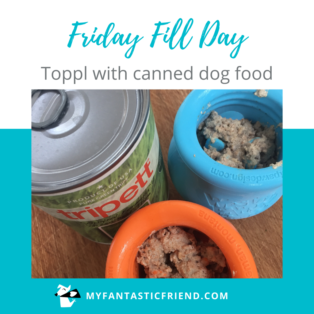 Food puzzles — Toppl with canned dog food