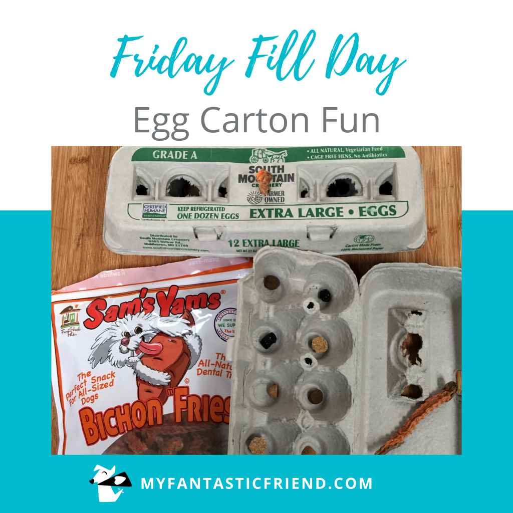 Food puzzles — Egg carton with treats inside, and a dehydrated sweet potato strip holding the carton closed.